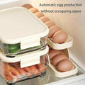 15 Egg Storage Box Rolling Design