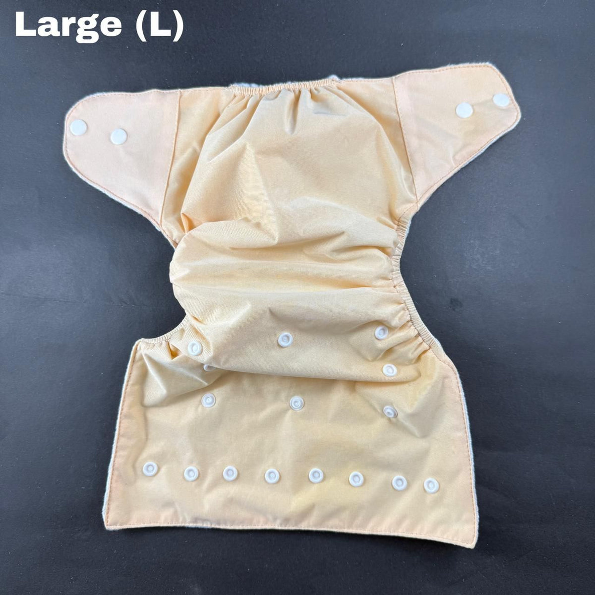Imported washable diaper with inner (Random Color)